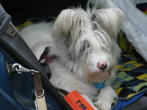 Isis Oct 29th, Oct 30th 010