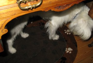 Isis Oct 17th-20th 2014 004