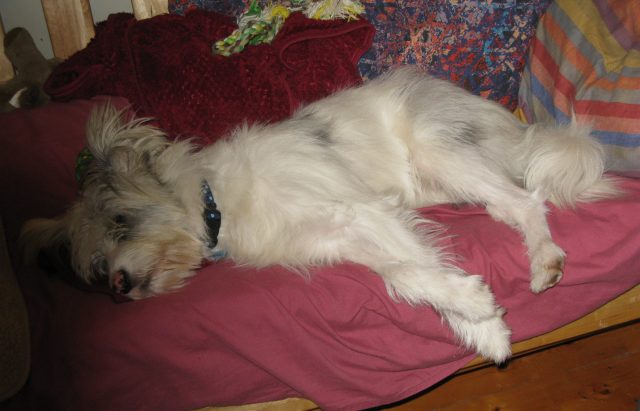 Isis Oct 29th, Oct 30th 001