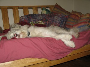 Isis Oct 29th, Oct 30th 002