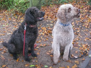 Isis Oct 29th, Oct 30th 006