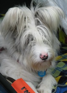 Isis Oct 29th, Oct 30th 010