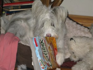 Isis November 14th 001