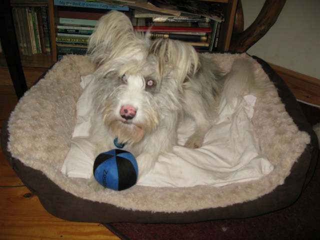 Nov 19 & 20 '14 Isis & experimental drawing 2 001