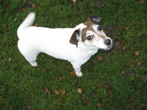 19-12-14 The KHP photo shoot 001