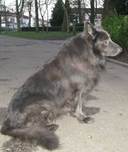 19-12-14 The KHP photo shoot 013