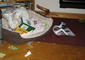 2-12-14 Isis's play bin 001