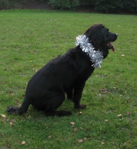 22-12-14 KPH photoshoot2, Drawing 3 FAT ISIS 002