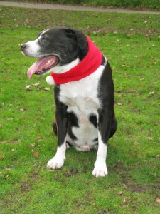 22-12-14 KPH photoshoot2, Drawing 3 FAT ISIS 007