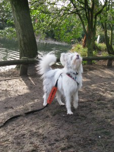 23-01-15 Kings heath Park Saturday 030