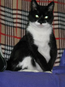 Dec 28- Jan 3 isis in Barmouth 004