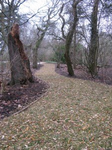 05-02-15 Isis, new paths KHP, Isis playing toy 006