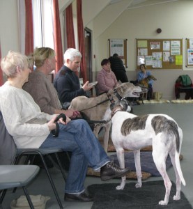 14-02-2015 Hounds Club Feb 2015 porches 016