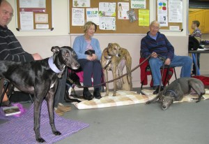 14-02-2015 Hounds Club Feb 2015 porches 021