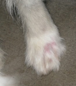 22-02-2015 Isis shaves her foot 001