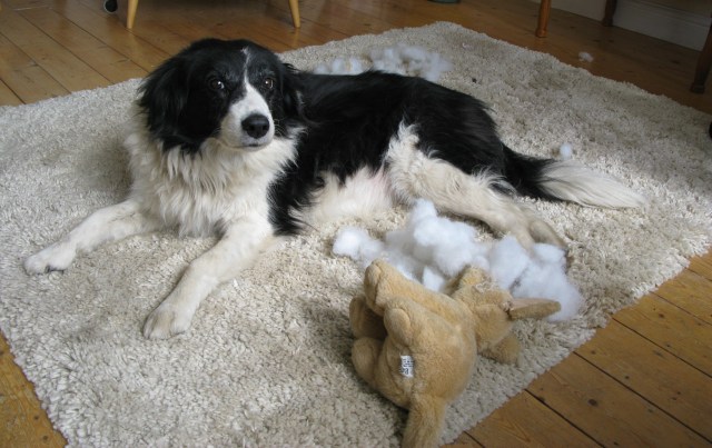 You're definitely mistaken: I'm sure it was like this when I found it.