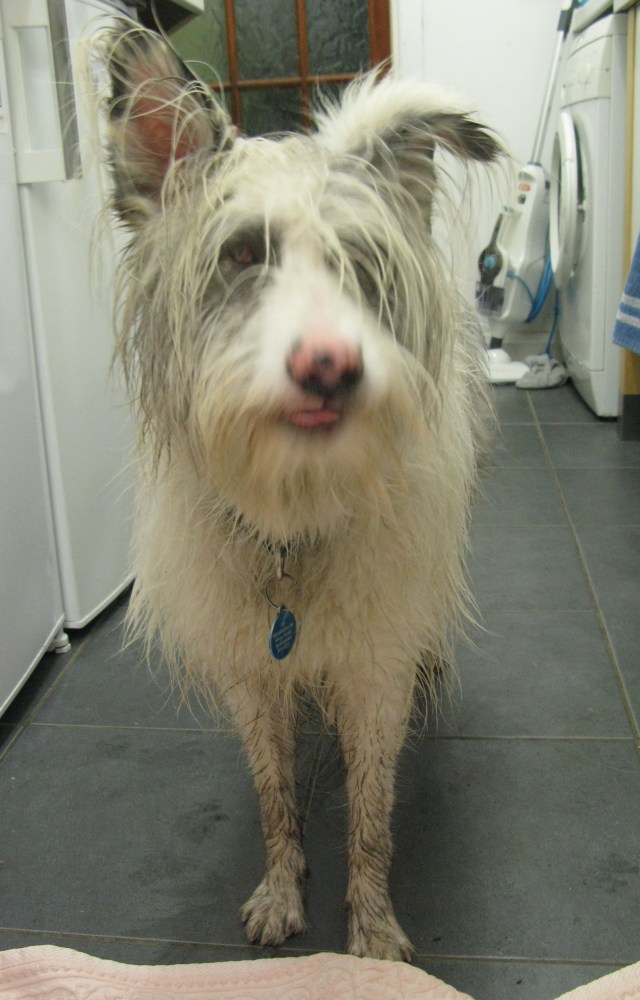 04-05-2015 very wet Isis 001