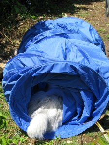 07-05-2015 tunnel 001