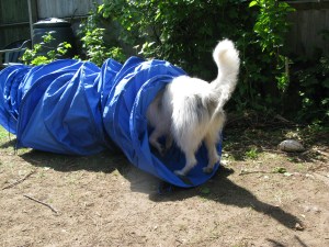 07-05-2015 tunnel 005