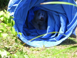 07-05-2015 tunnel 007