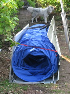 07-05-2015 tunnel 009