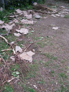 Mission accomplished.