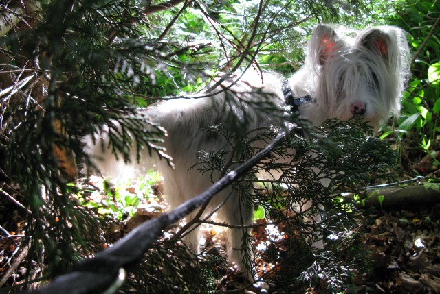 But I prefer to go this way.