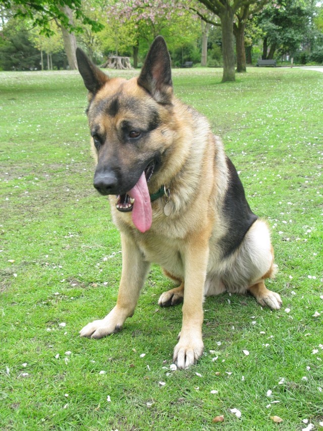 8 & 9th May 2015 005