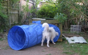 May 23rd - 28th 2015 reinforcing tunnel 009