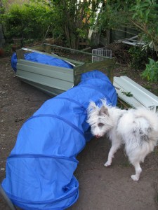 May 23rd - 28th 2015 reinforcing tunnel 010