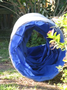 07-06-2015 the tunnel - 3rd try! 001