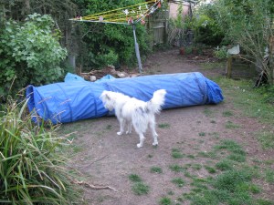 07-06-2015 the tunnel - 3rd try! 004