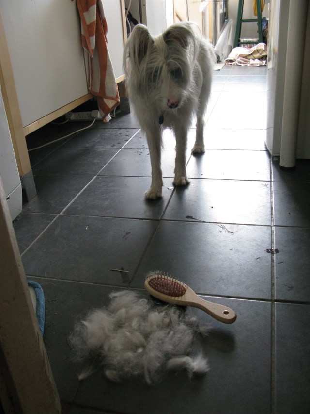 June 2015 Wales & first day back 011