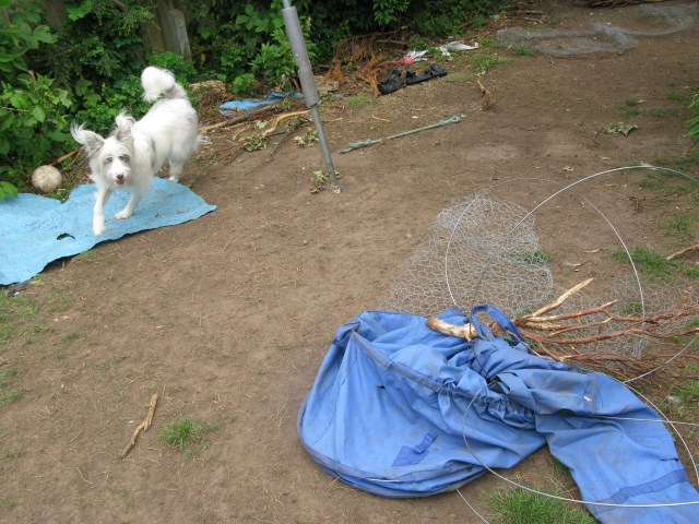 June 2015 Wales & first day back 013