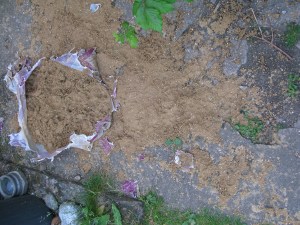 June 2015 Wales & first day back 014