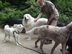 I think there's a treat on the way.