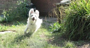 to photograph me standing still