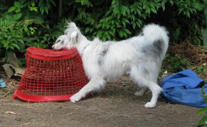 It's shaping up well now. Not bad for a very hot day.