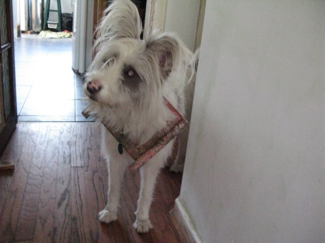 and she takes a photo. 