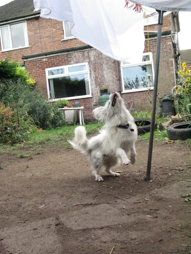 Damn it! It's still too high.