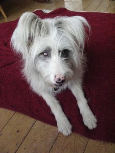 S** this for a game of soldiers.