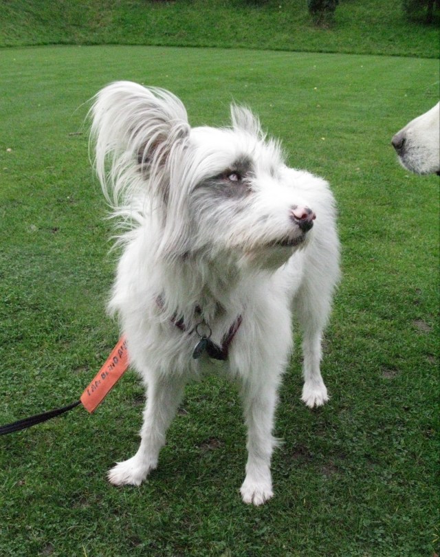 Help me, Conchobhar. I don't like it.