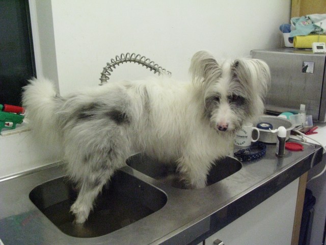 Go on, Kerry, laugh at me.