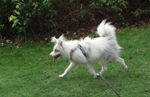 Must be over here .....