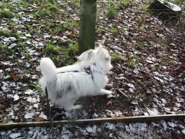 and may even become over-wrought.