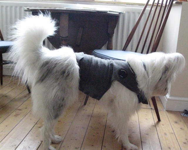 Do they make them big enough for humans?