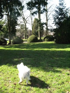 I don't believe you. I KNOW I'm in mortal danger.