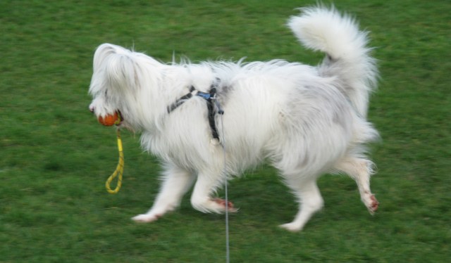 S'pose I'll have to settle for this.