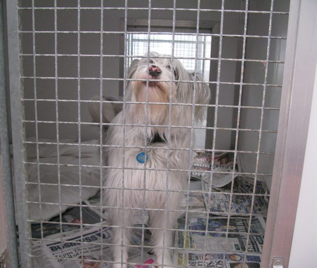 Well, I've thrown my duvet around. Now what Tracy?