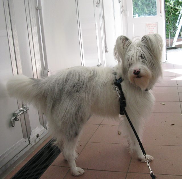 Oh, it's you, is it?